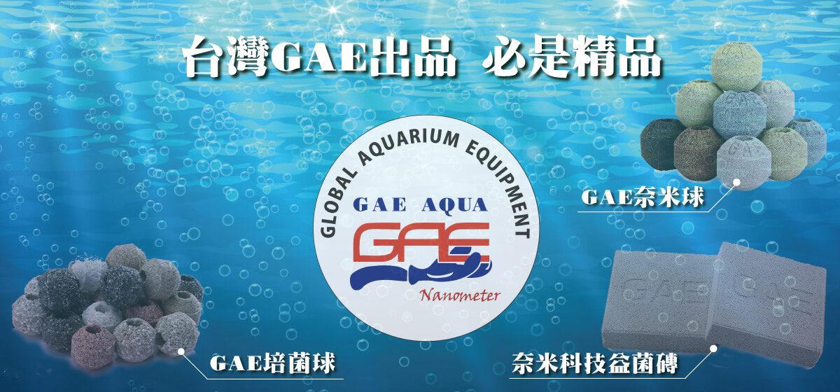 洪洋行的第1張banner圖片