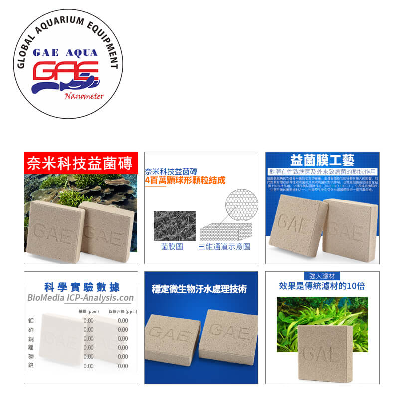 洪洋行的最新公告圖片