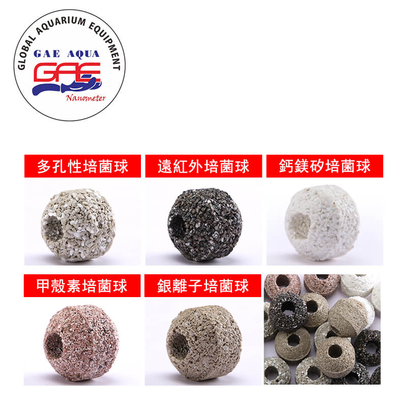 洪洋行的最新公告圖片