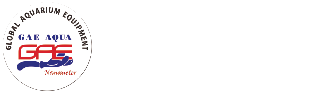 洪洋行
