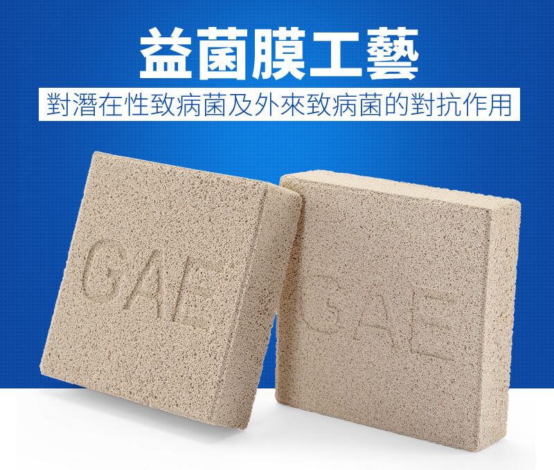 奈米科技益菌磚